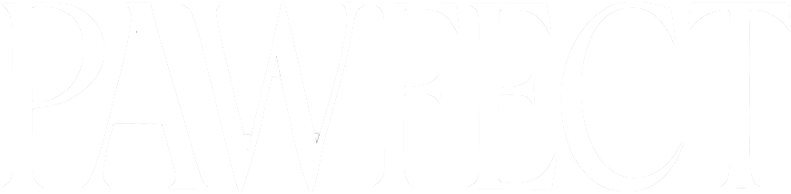 My WordPress Site Logo